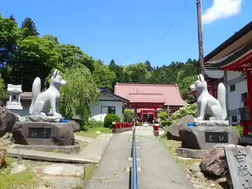 白狐山光星寺の狛犬