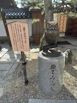 射楯兵主神社(兵庫県)