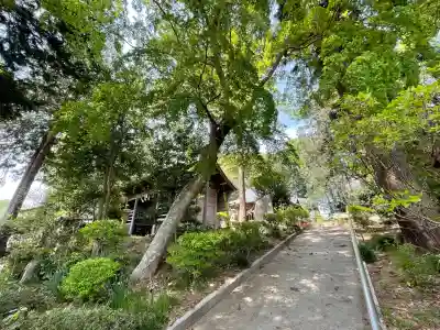 辛科神社(群馬県)