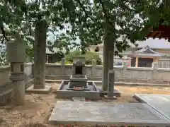 国分寺の建物その他