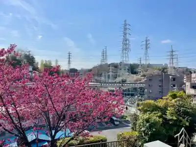 高松寺の{uncategorized: "未分類", other: "その他", undefined: "問題あり", building: "その他建物", grave: "お墓", sacred_gate: "鳥居", guardian: "狛犬", statue: "像", buddha: "仏像", history: "歴史", nature: "自然", garden: "庭園", animal: "動物", pagoda: "塔", temizu: "手水舎", mountain_gate: "山門・神門", sanctuary: "本殿・本堂", subordinate: "末社・摂社", art: "芸術", scenery: "景色", jizo: "地蔵", ema: "絵馬", goshuin: "御朱印", omikuji: "おみくじ", items: "授与品その他", amulet: "お守り", goshuincho: "御朱印帳", eats: "食事", festival: "お祭り", votive_dance: "神楽", shichigosan: "七五三参", wedding: "結婚式", experience: "体験その他", initially: "初詣", around: "周辺", anti_infection: "感染症対策"}