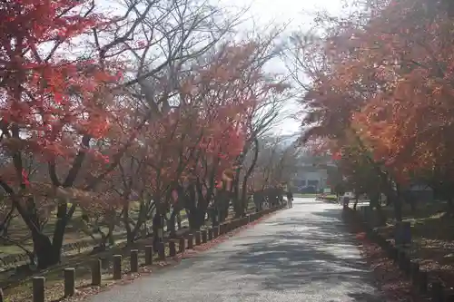 坂本八幡宮の建物その他