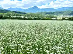 国宝 大法寺(長野県)