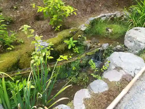 天龍寺(京都府)