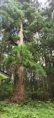 水分神社(宮城県)