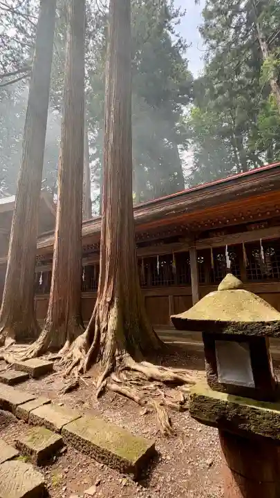 諏訪大社(長野県)