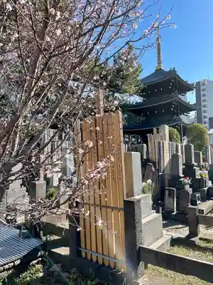 本光寺のその他建物