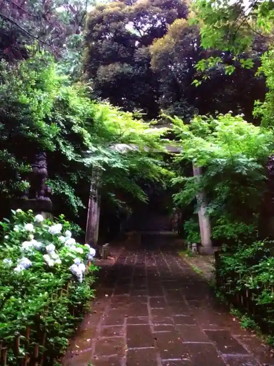 赤坂氷川神社(東京都)