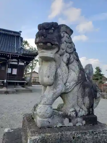 八幡宮の狛犬