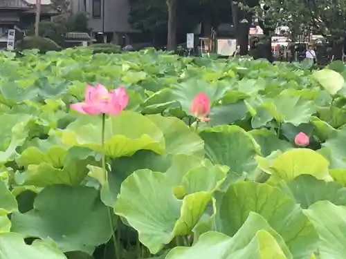 寛永寺不忍池弁天堂の庭園