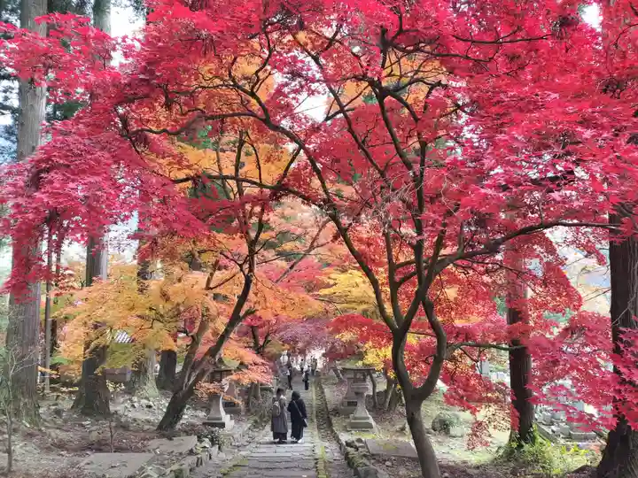 清水寺(長野県)