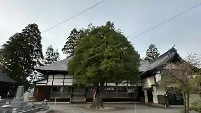 観音寺(山形県)