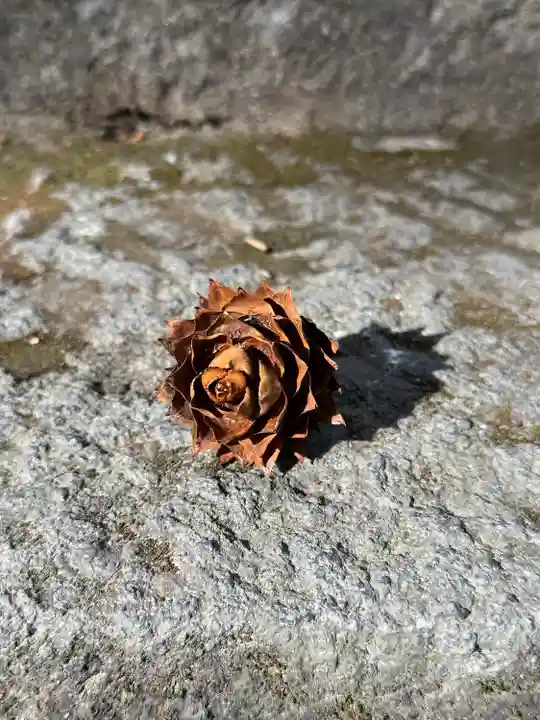 日光大室高龗神社(栃木県)