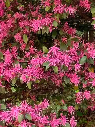 播州清水寺の自然