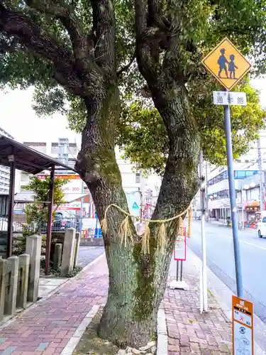 須佐之男社の自然