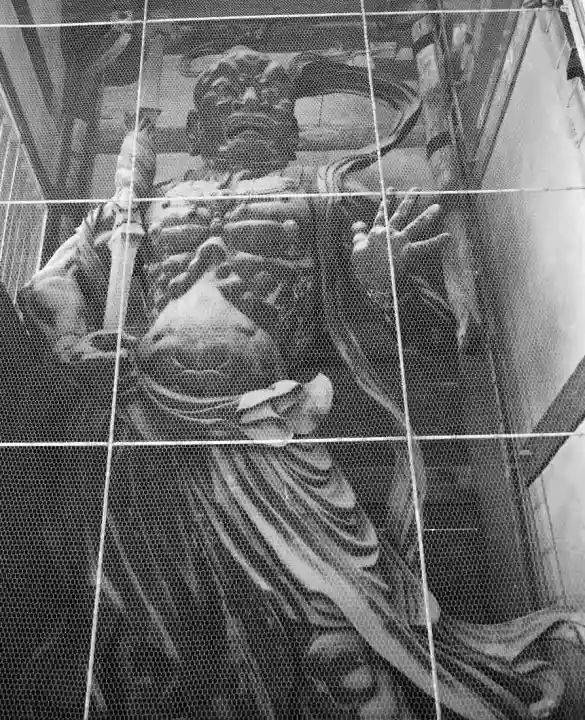 東大寺の{uncategorized: "未分類", other: "その他", undefined: "問題あり", building: "その他建物", grave: "お墓", sacred_gate: "鳥居", guardian: "狛犬", statue: "像", buddha: "仏像", history: "歴史", nature: "自然", garden: "庭園", animal: "動物", pagoda: "塔", temizu: "手水舎", mountain_gate: "山門・神門", sanctuary: "本殿・本堂", subordinate: "末社・摂社", art: "芸術", scenery: "景色", jizo: "地蔵", ema: "絵馬", goshuin: "御朱印", omikuji: "おみくじ", items: "授与品その他", amulet: "お守り", goshuincho: "御朱印帳", eats: "食事", festival: "お祭り", votive_dance: "神楽", shichigosan: "七五三参", wedding: "結婚式", experience: "体験その他", initially: "初詣", around: "周辺", anti_infection: "感染症対策"}