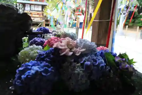 滑川神社 - 仕事と子どもの守り神の手水舎
