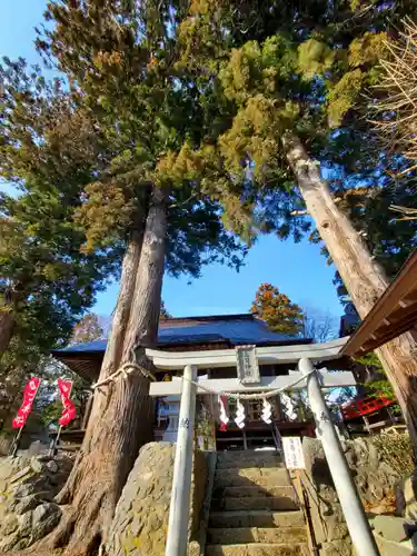 高司神社〜むすびの神の鎮まる社〜の鳥居