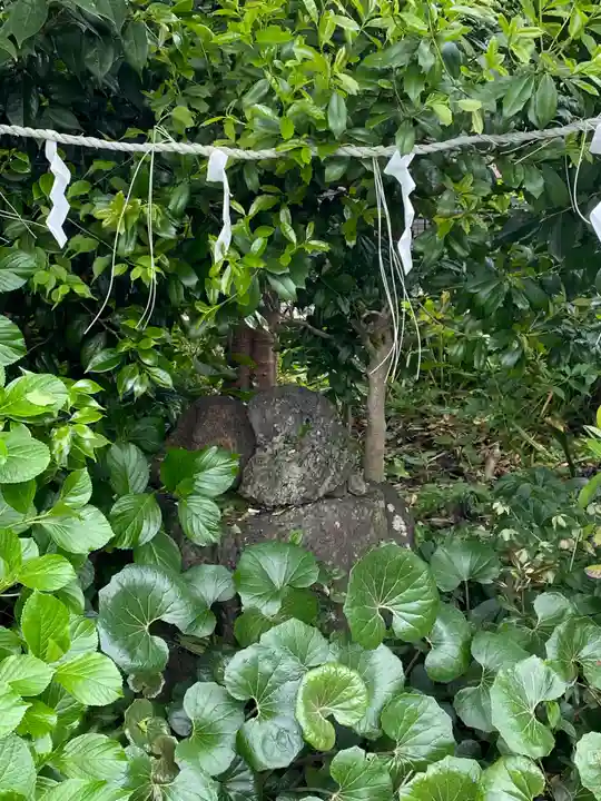 城山富士浅間神社(静岡県)
