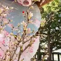 札幌諏訪神社の自然