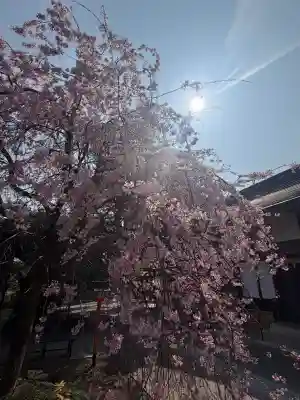 太道教本部の{uncategorized: "未分類", other: "その他", undefined: "問題あり", building: "その他建物", grave: "お墓", sacred_gate: "鳥居", guardian: "狛犬", statue: "像", buddha: "仏像", history: "歴史", nature: "自然", garden: "庭園", animal: "動物", pagoda: "塔", temizu: "手水舎", mountain_gate: "山門・神門", sanctuary: "本殿・本堂", subordinate: "末社・摂社", art: "芸術", scenery: "景色", jizo: "地蔵", ema: "絵馬", goshuin: "御朱印", omikuji: "おみくじ", items: "授与品その他", amulet: "お守り", goshuincho: "御朱印帳", eats: "食事", festival: "お祭り", votive_dance: "神楽", shichigosan: "七五三参", wedding: "結婚式", experience: "体験その他", initially: "初詣", around: "周辺", anti_infection: "感染症対策"}