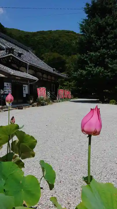 普門寺(切り絵御朱印発祥の寺)のその他建物