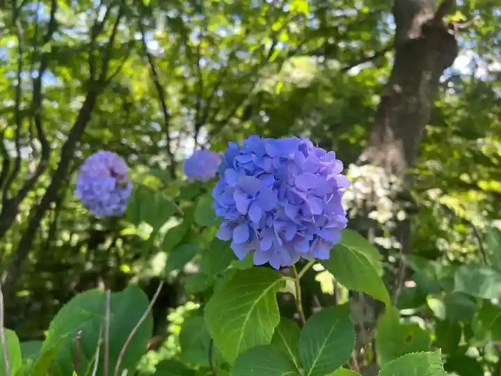 三春大神宮(福島県)