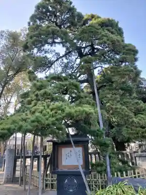 国土安穏寺の{uncategorized: "未分類", other: "その他", undefined: "問題あり", building: "その他建物", grave: "お墓", sacred_gate: "鳥居", guardian: "狛犬", statue: "像", buddha: "仏像", history: "歴史", nature: "自然", garden: "庭園", animal: "動物", pagoda: "塔", temizu: "手水舎", mountain_gate: "山門・神門", sanctuary: "本殿・本堂", subordinate: "末社・摂社", art: "芸術", scenery: "景色", jizo: "地蔵", ema: "絵馬", goshuin: "御朱印", omikuji: "おみくじ", items: "授与品その他", amulet: "お守り", goshuincho: "御朱印帳", eats: "食事", festival: "お祭り", votive_dance: "神楽", shichigosan: "七五三参", wedding: "結婚式", experience: "体験その他", initially: "初詣", around: "周辺", anti_infection: "感染症対策"}