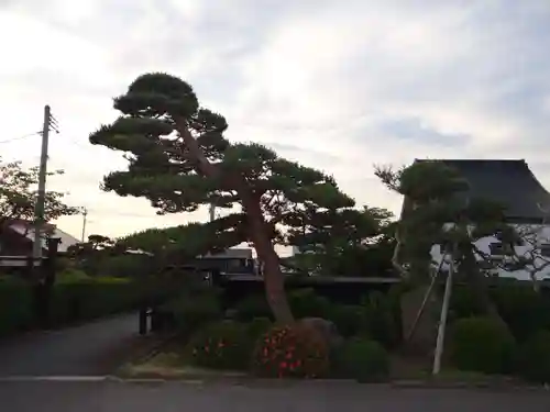 真教寺(青森県)