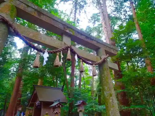 椿大神社の鳥居