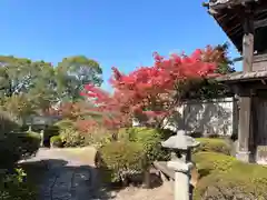 豊前国分寺(福岡県)