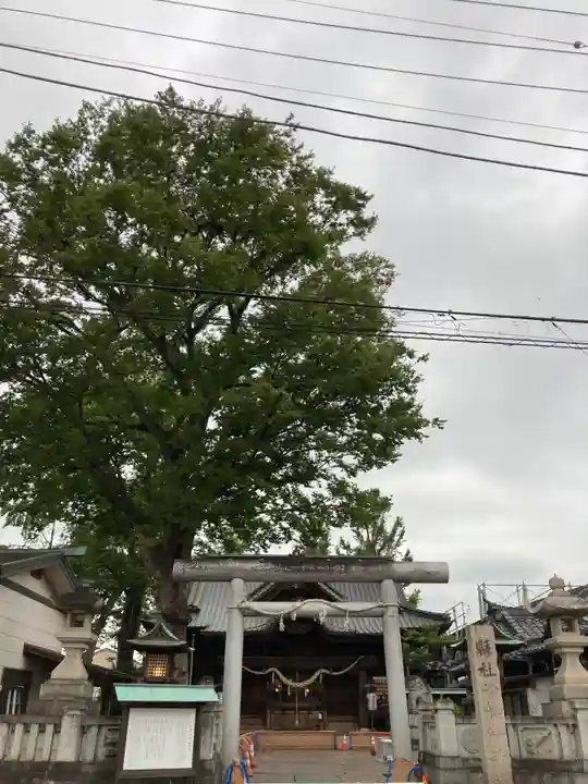伊勢崎神社(群馬県)
