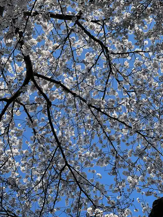 弘前八坂神社(青森県)