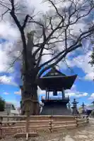 北向観音のその他建物