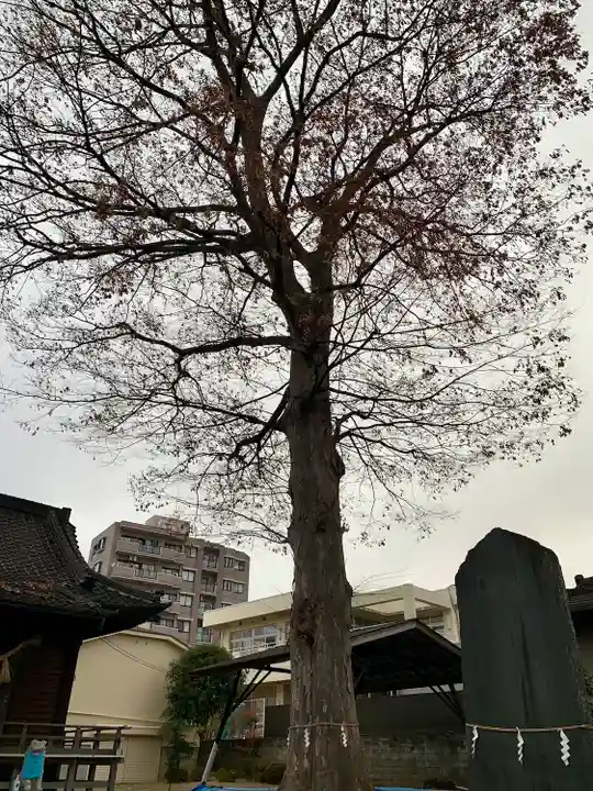宮城野八幡神社(宮城県)