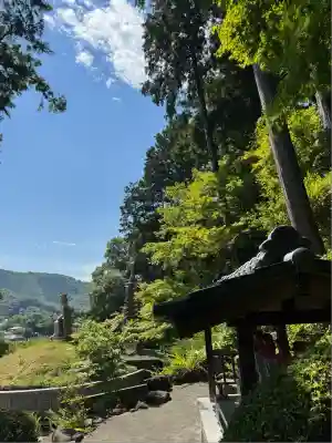 崇禅寺(群馬県)