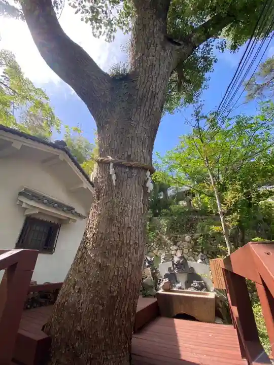春日神社(大阪府)