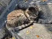 五香宮(岡山県)