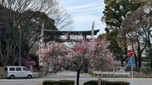 愛知縣護國神社の{uncategorized: "未分類", other: "その他", undefined: "問題あり", building: "その他建物", grave: "お墓", sacred_gate: "鳥居", guardian: "狛犬", statue: "像", buddha: "仏像", history: "歴史", nature: "自然", garden: "庭園", animal: "動物", pagoda: "塔", temizu: "手水舎", mountain_gate: "山門・神門", sanctuary: "本殿・本堂", subordinate: "末社・摂社", art: "芸術", scenery: "景色", jizo: "地蔵", ema: "絵馬", goshuin: "御朱印", omikuji: "おみくじ", items: "授与品その他", amulet: "お守り", goshuincho: "御朱印帳", eats: "食事", festival: "お祭り", votive_dance: "神楽", shichigosan: "七五三参", wedding: "結婚式", experience: "体験その他", initially: "初詣", around: "周辺", anti_infection: "感染症対策"}