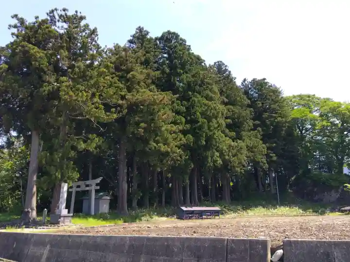 白山神社の{uncategorized: "未分類", other: "その他", undefined: "問題あり", building: "その他建物", grave: "お墓", sacred_gate: "鳥居", guardian: "狛犬", statue: "像", buddha: "仏像", history: "歴史", nature: "自然", garden: "庭園", animal: "動物", pagoda: "塔", temizu: "手水舎", mountain_gate: "山門・神門", sanctuary: "本殿・本堂", subordinate: "末社・摂社", art: "芸術", scenery: "景色", jizo: "地蔵", ema: "絵馬", goshuin: "御朱印", omikuji: "おみくじ", items: "授与品その他", amulet: "お守り", goshuincho: "御朱印帳", eats: "食事", festival: "お祭り", votive_dance: "神楽", shichigosan: "七五三参", wedding: "結婚式", experience: "体験その他", initially: "初詣", around: "周辺", anti_infection: "感染症対策"}