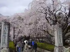 実相寺の自然