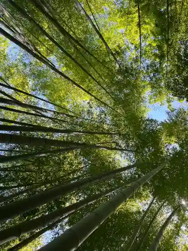 明月院(神奈川県)