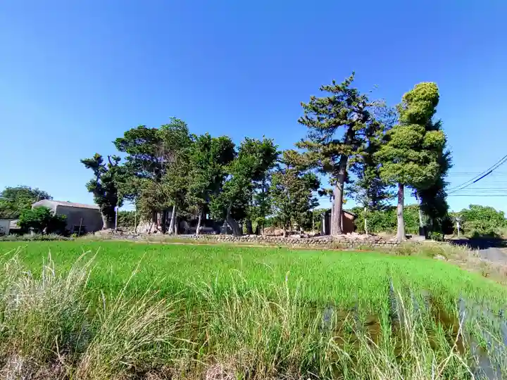 春日社(松名)の自然