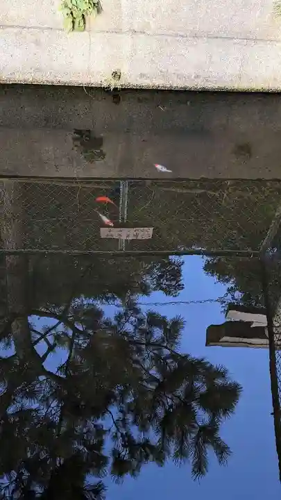 乳清水神社の動物