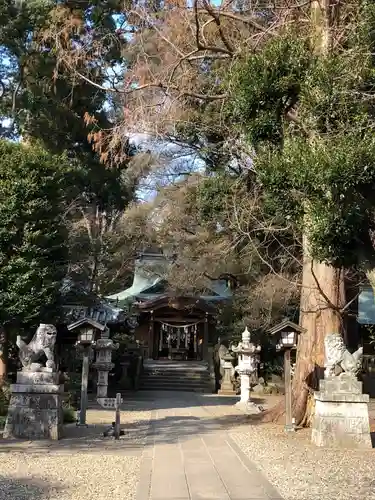 岩槻久伊豆神社の狛犬