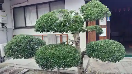 法雲寺(京都府)