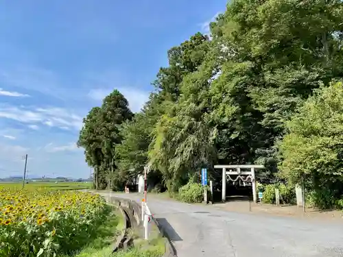 下野 星宮神社の鳥居