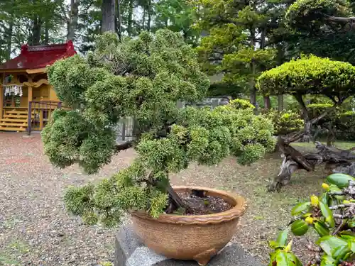 浜頓別神社(北海道)