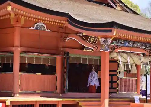 富士山本宮浅間大社(静岡県)