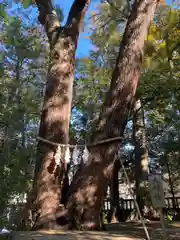 武蔵一宮氷川神社(埼玉県)